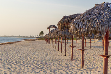 Similar image 21786345