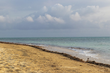 Similar image 21786346