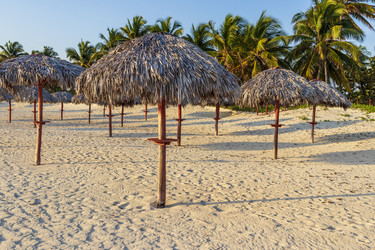 Similar image 21786347