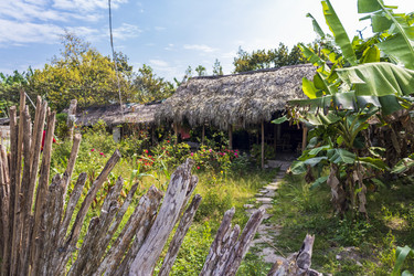 Similar image 21786633