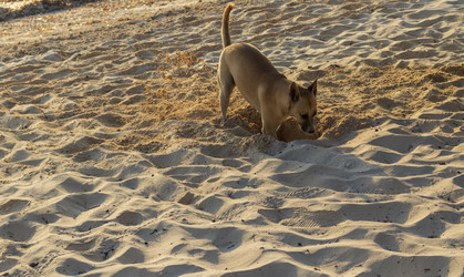 Similar image 21786634