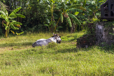 Similar image 21786638