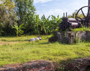 Similar image 21786639