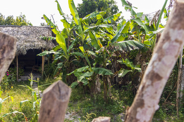 Similar image 21786869