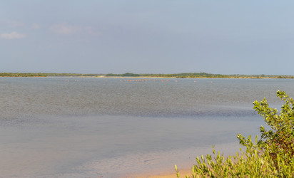 Similar image 21786870