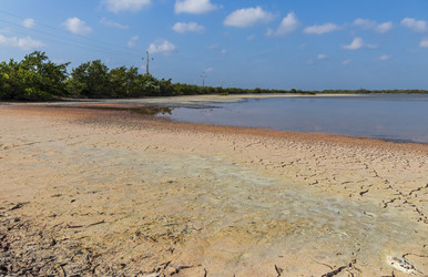 Similar image 21786874