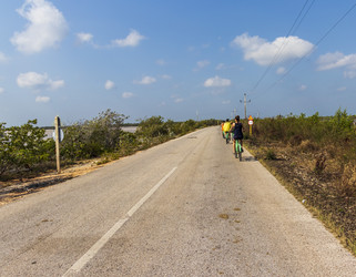 Similar image 21786878