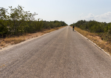 Similar image 21786881