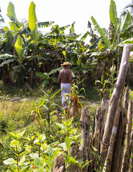 Similar image 21786882