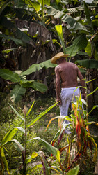 Similar image 21786886