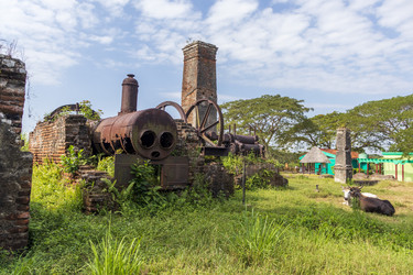 Similar image 21786889