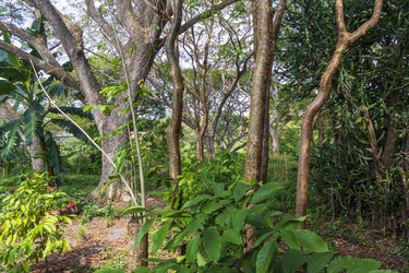 Similar image 21786892