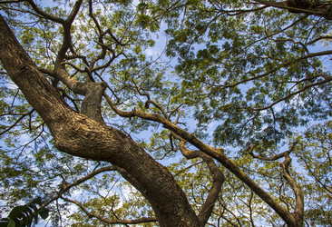 Similar image 21786893