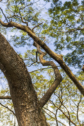 Similar image 21786894