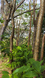 Similar image 21786647