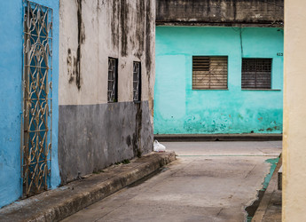 Similar image 21786649