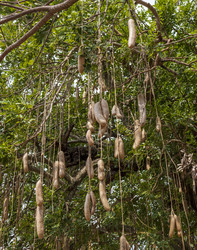 Similar image 21786670