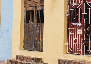 Similar image 21786671