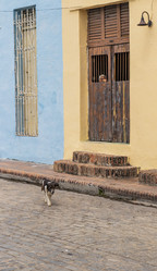 Similar image 21786674