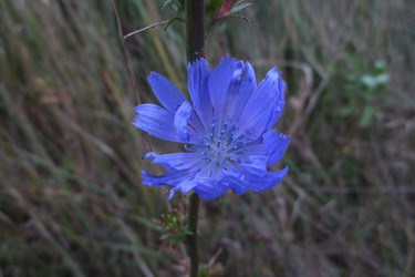 Similar image 21786487