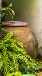 Similar image 21786900