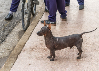 Similar image 21786907