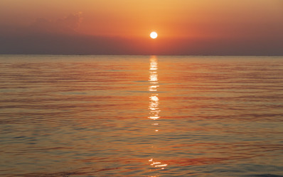 Similar image 21786707