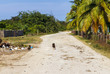 Similar image 21786714