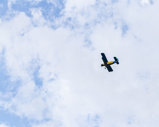 Similar image 21786724