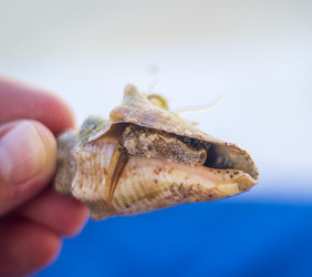 Similar image 21786727