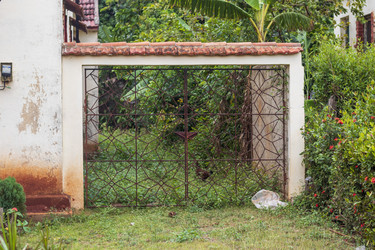 Similar image 21786732