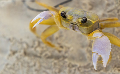 Similar image 21786739