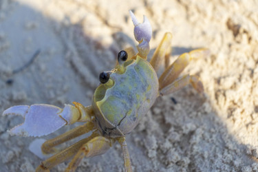 Similar image 21786741