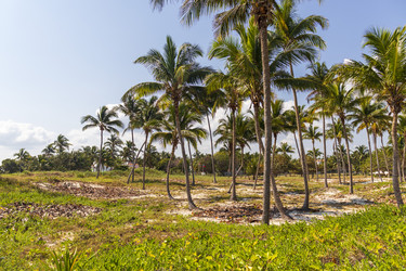 Similar image 21786752