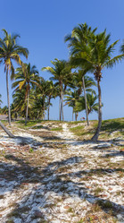 Similar image 21786755