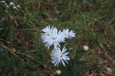 Similar image 21786489