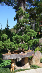 Similar image 21786497