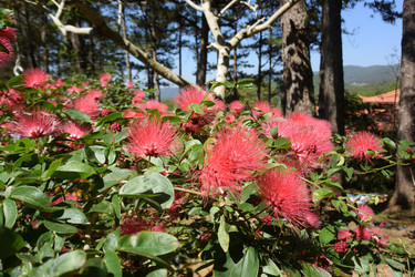 Similar image 21786500