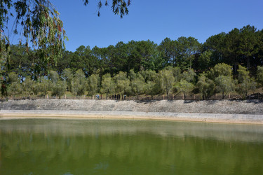 Similar image 21786502