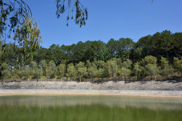 Similar image 21786504