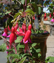 Similar image 21786505