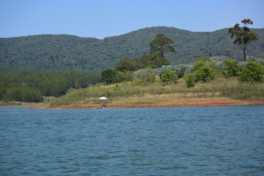 Similar image 21786511