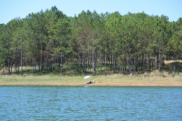 Similar image 21786512