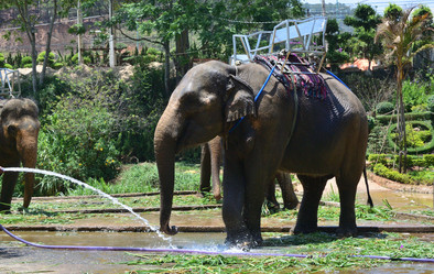 Similar image 21786524