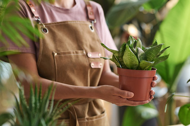 Similar image 21798586