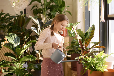 Similar image 21801954