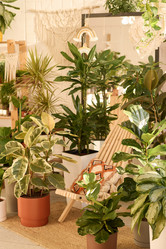 Similar image 21800020