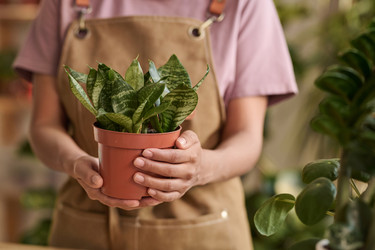 Similar image 21795919