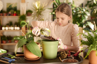 Similar image 21797746