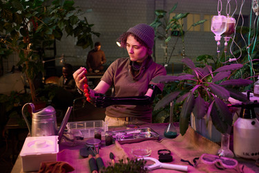 Similar image 21796211